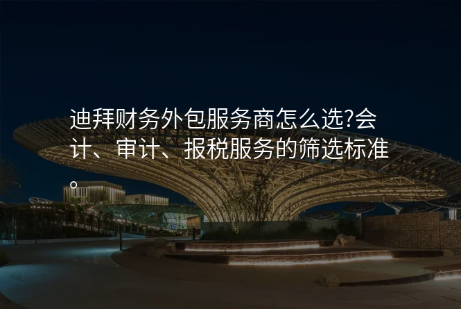 迪拜财务外包服务商怎么选?会计、审计、报税服务的筛选标准。