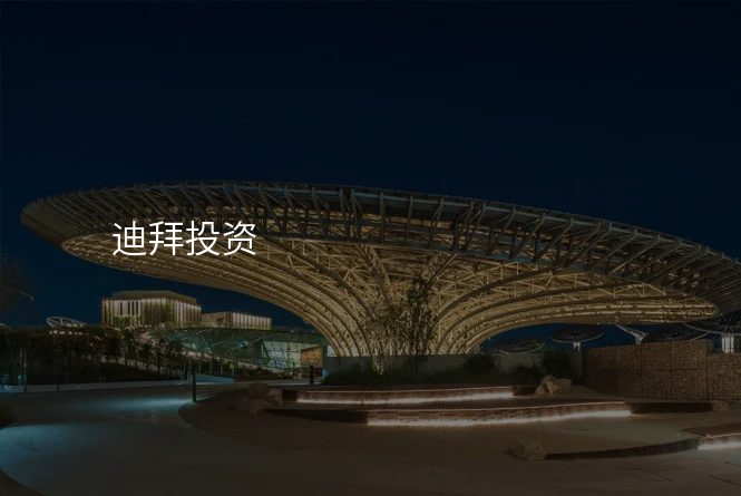 迪拜投资
