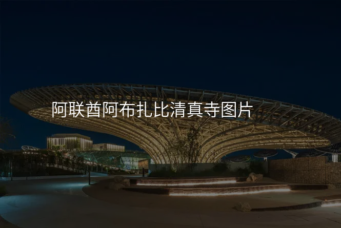 阿联酋阿布扎比清真寺图片