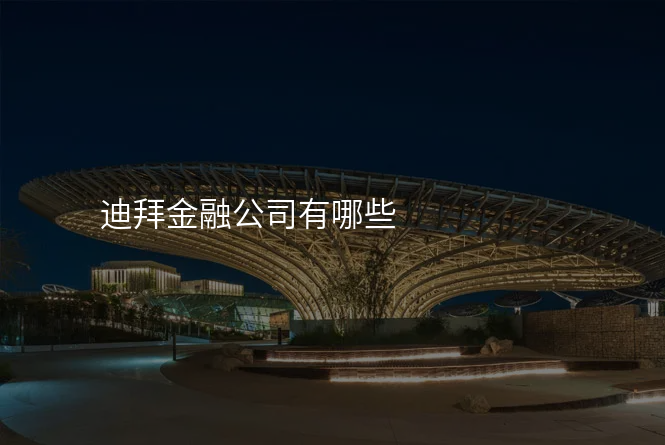 迪拜金融公司有哪些