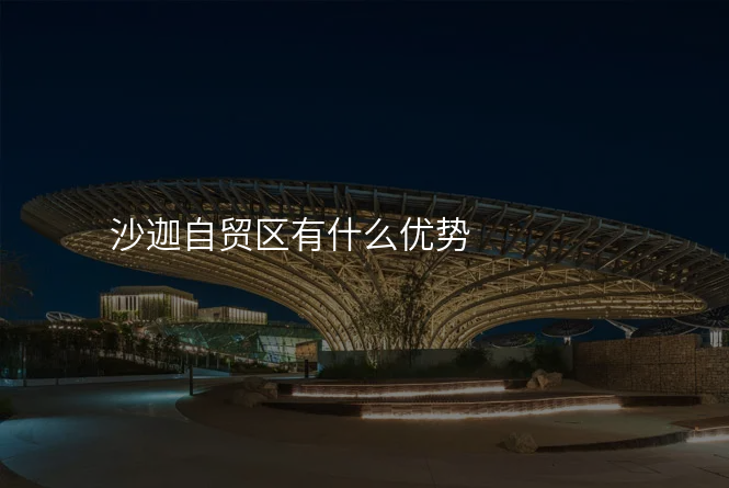 沙迦自贸区有什么优势