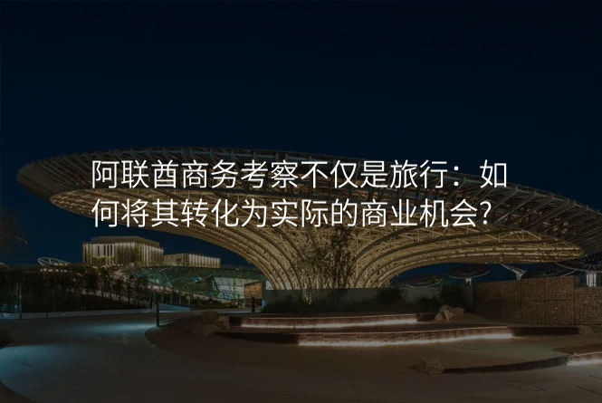 阿联酋商务考察不仅是旅行:如何将其转化为实际的商业机会?