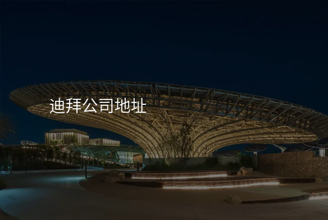 迪拜公司地址