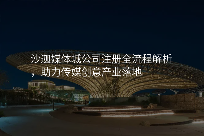 沙迦媒体城公司注册全流程解析,助力传媒创意产业落地