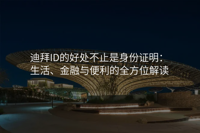 迪拜ID的好处不止是身份证明:生活、金融与便利的全方位解读
