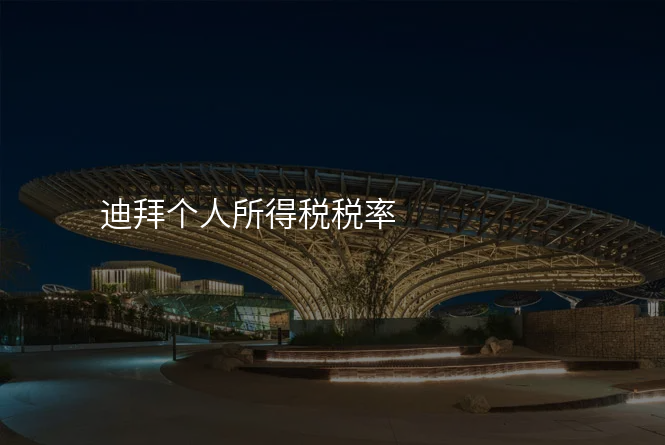 迪拜个人所得税税率