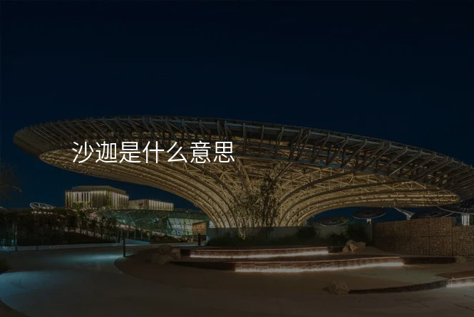 沙迦是什么意思