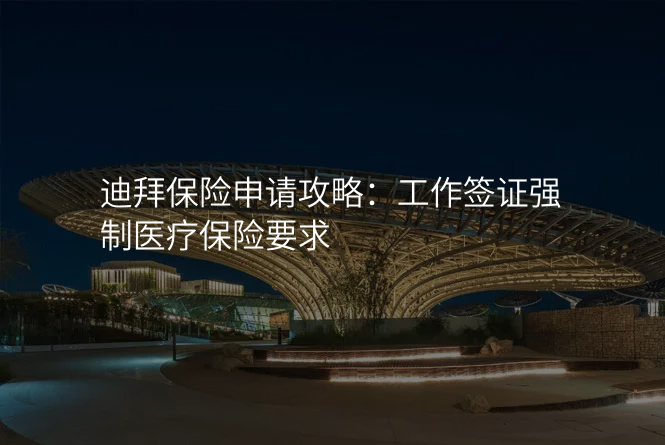 迪拜保险申请攻略:工作签证强制医疗保险要求