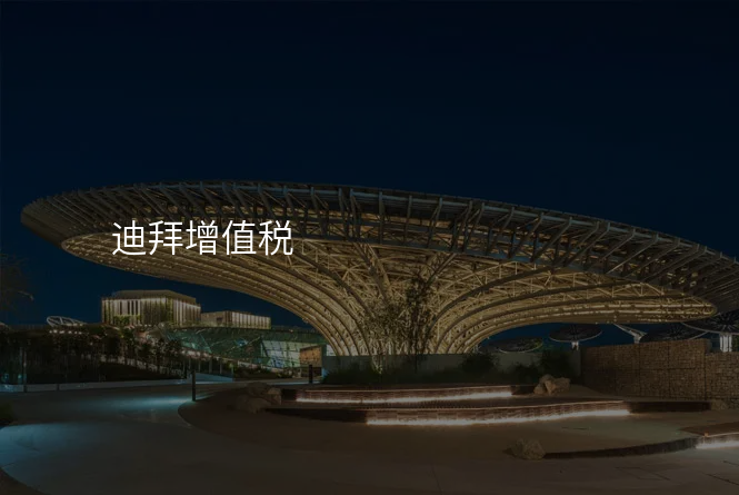迪拜增值税