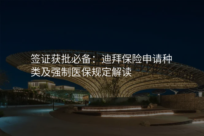 签证获批必备:迪拜保险申请种类及强制医保规定解读