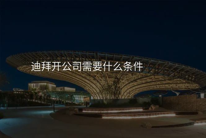 迪拜开公司需要什么条件