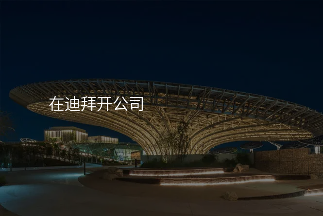 在迪拜开公司