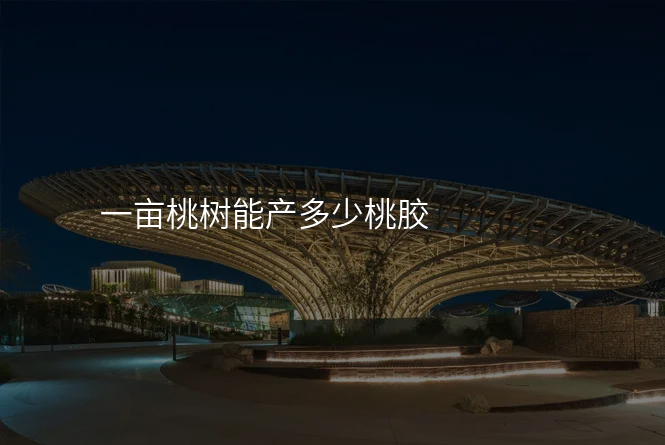 一亩桃树能产多少桃胶