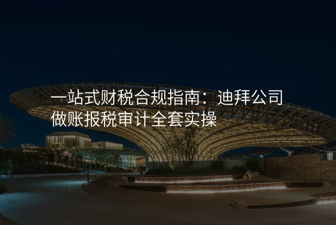 一站式财税合规指南:迪拜公司做账报税审计全套实操