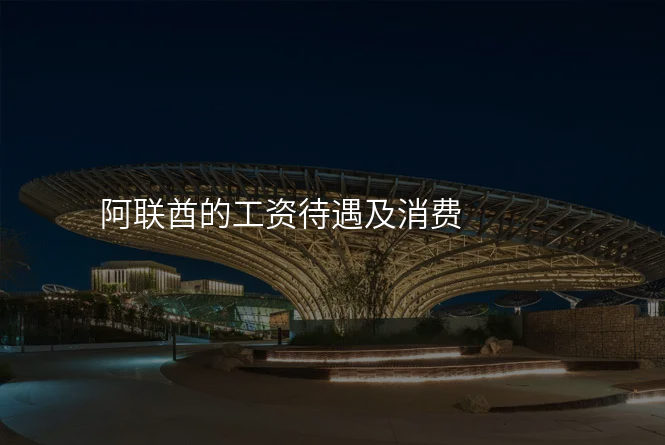 阿联酋的工资待遇及消费