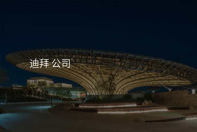 迪拜 公司