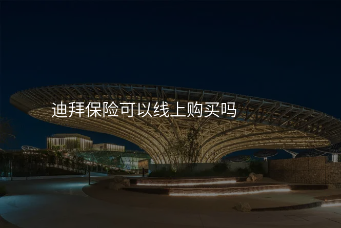 迪拜保险可以线上购买吗