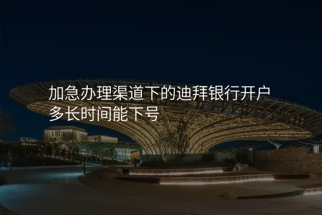 加急办理渠道下的迪拜银行开户多长时间能下号