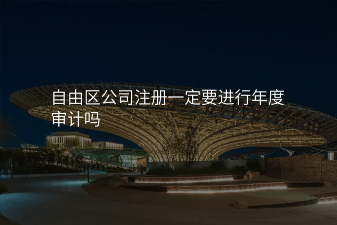 自由区公司注册一定要进行年度审计吗