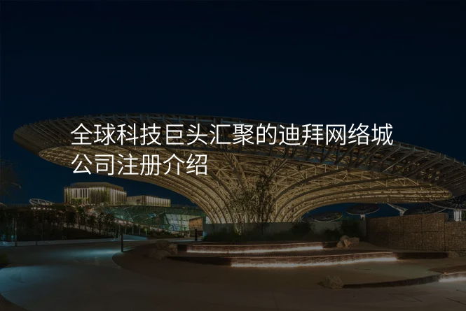 全球科技巨头汇聚的迪拜网络城公司注册介绍