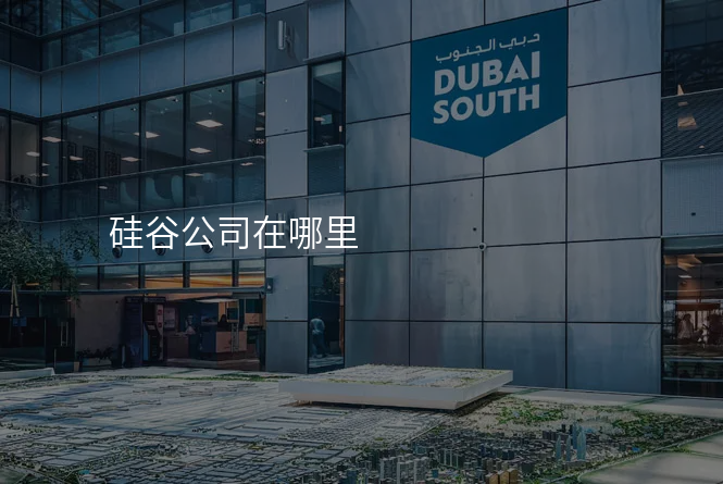 硅谷公司在哪里