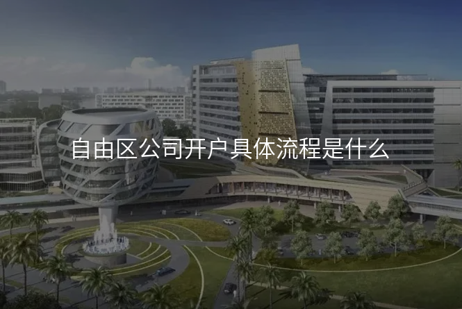 自由区公司开户具体流程是什么