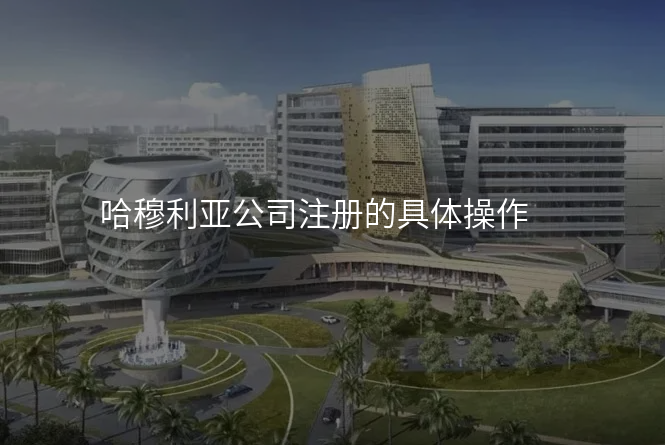 哈穆利亚公司注册的具体操作