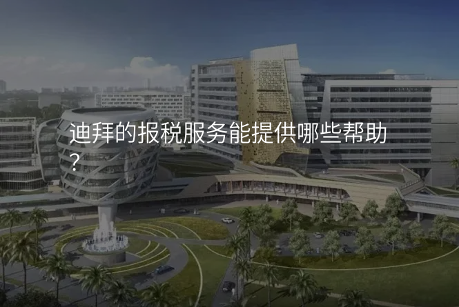 迪拜的报税服务能提供哪些帮助?