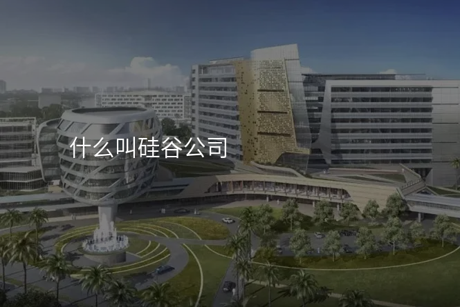 什么叫硅谷公司