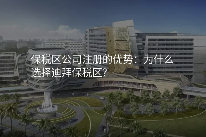 保税区公司注册的优势:为什么选择迪拜保税区?
