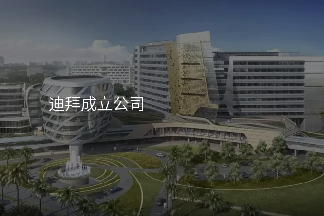 迪拜成立公司
