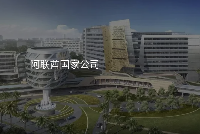 阿联酋国家公司