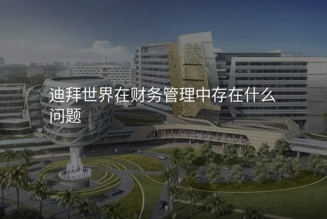 迪拜世界在财务管理中存在什么问题