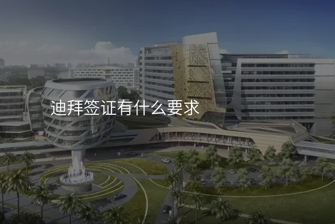 迪拜签证有什么要求
