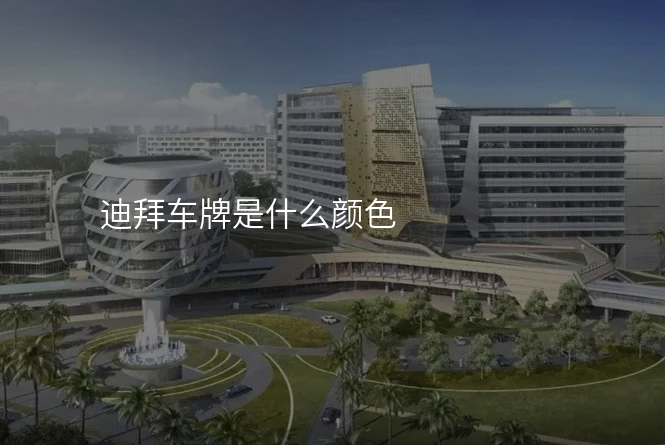 迪拜车牌是什么颜色