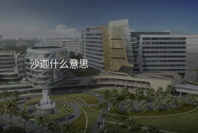 沙迦什么意思