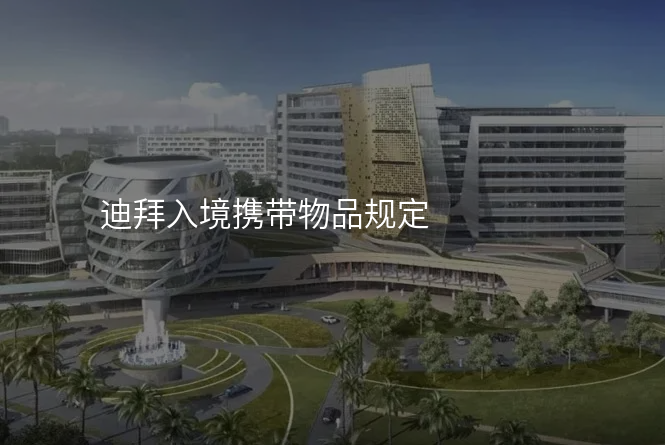 迪拜入境携带物品规定