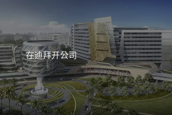 在迪拜开公司