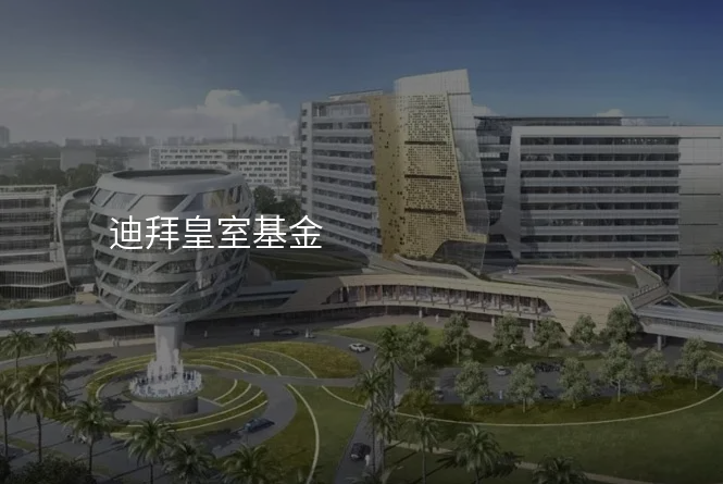 迪拜皇室基金