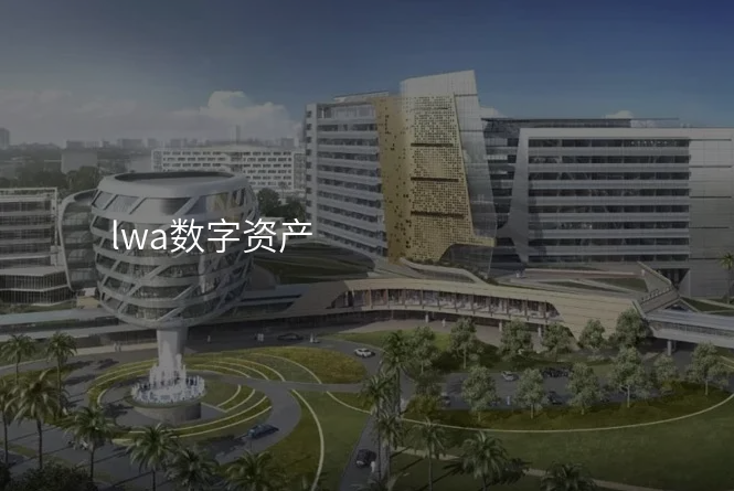 lwa数字资产