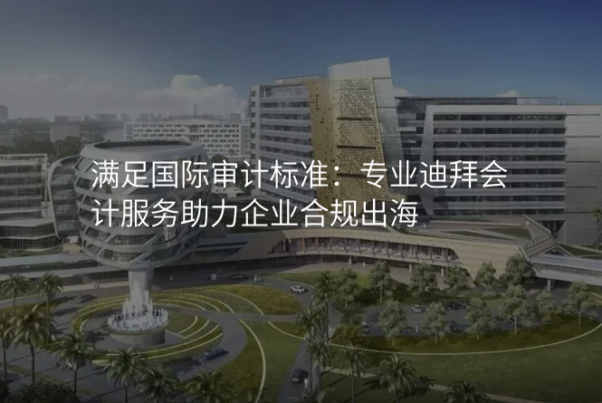 满足国际审计标准:专业迪拜会计服务助力企业合规出海