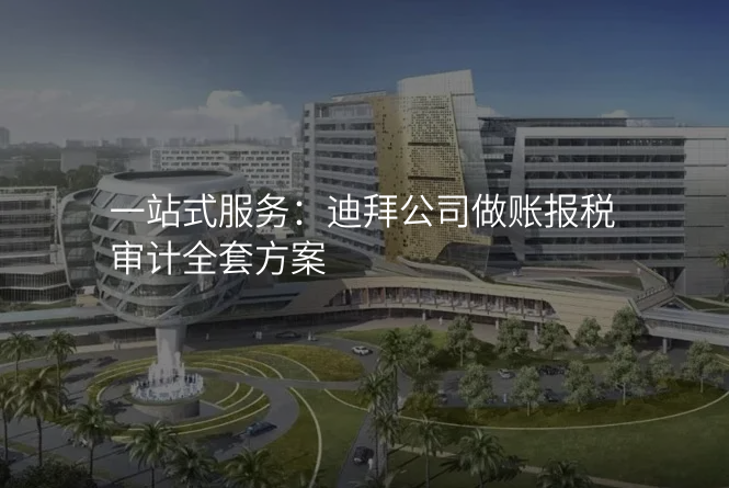 一站式服务:迪拜公司做账报税审计全套方案