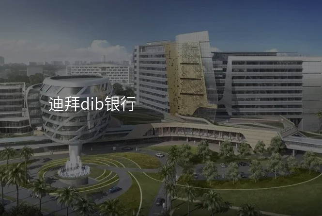 迪拜dib银行
