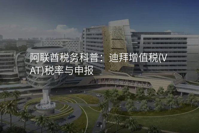 阿联酋税务科普:迪拜增值税(VAT)税率与申报