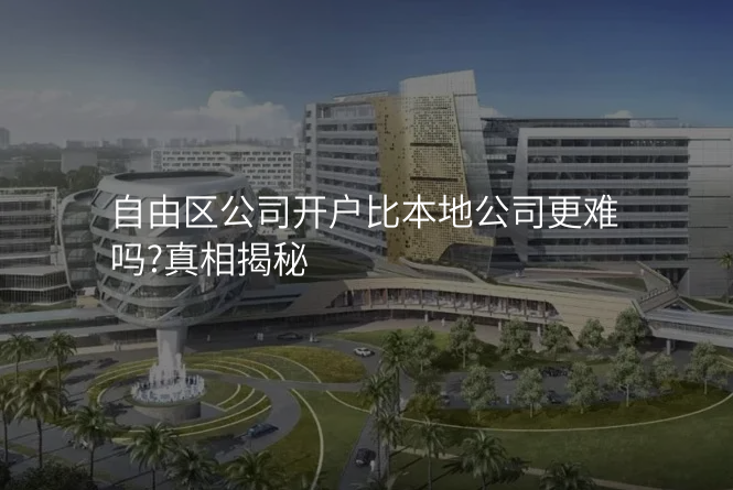 自由区公司开户比本地公司更难吗?真相揭秘