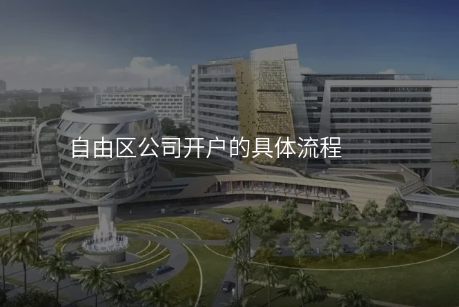 自由区公司开户的具体流程