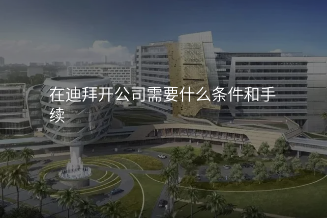 在迪拜开公司需要什么条件和手续