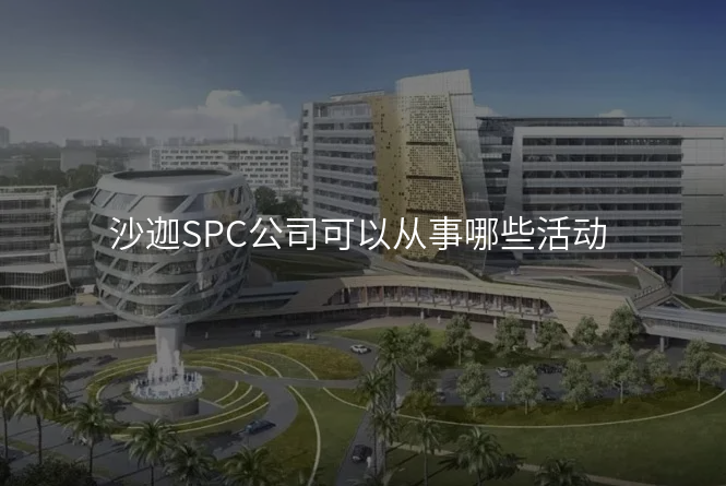 沙迦SPC公司可以从事哪些活动