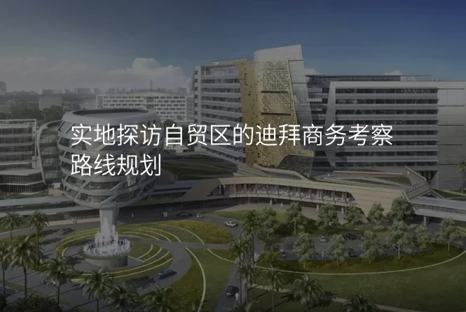 实地探访自贸区的迪拜商务考察路线规划