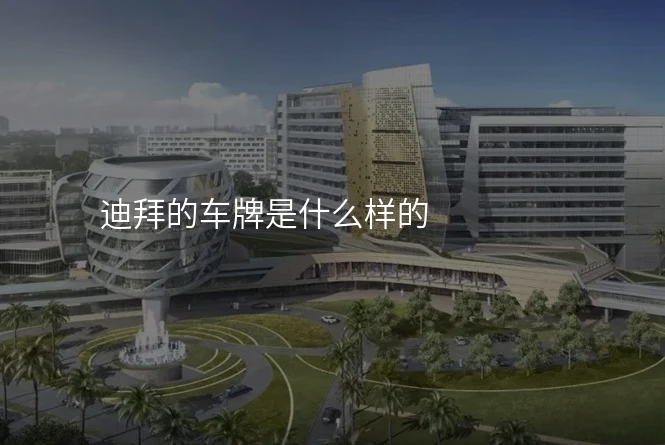 迪拜的车牌是什么样的